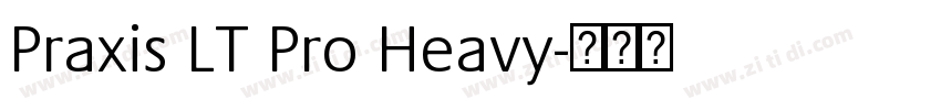 Praxis LT Pro Heavy字体转换